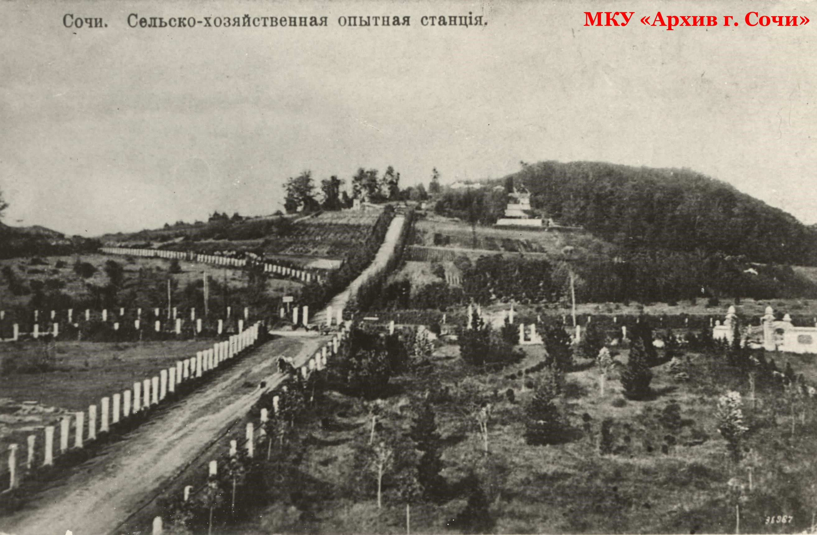 130 лет Сочинской садовой и сельскохозяйственной опытной станции.