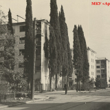 ОКС Центральный район (1963-1965 гг.) - 5. Крупнопанельные дома по улице Карла Либкнехта. Сочи, 1963 г. МКУ «Архив г. Сочи». Фотоальбом А-59. Фото 20.