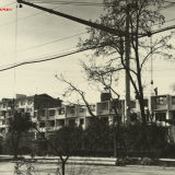 ОКС Центральный район (1963-1965 гг.) - 11. Улица Роз. Сочи, 1964 г. МКУ «Архив г. Сочи». Фотоальбом А-60. Фото 42.