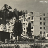 Цветной бульвар - 13. 60-квартирный дом по улице Красноармейской. Сочи, 1963 г. МКУ «Архив г. Сочи». Фотоальбом А-59. Фото 14.