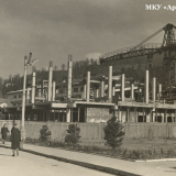 Хоста 1963-1965 гг.