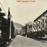 Хоста 1963-1965 гг.