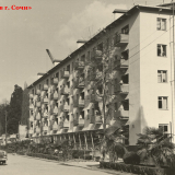 Хоста 1963-1965 гг.