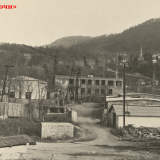 Хоста 1963-1965 гг.