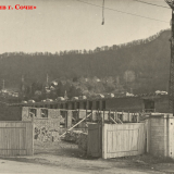 Хоста 1963-1965 гг.