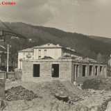 Хоста 1963-1965 гг.