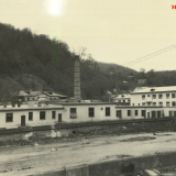 Хоста 1963-1965 гг.