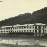 Хоста 1963-1965 гг.