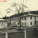 Хоста 1963-1965 гг.