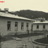 Хоста 1963-1965 гг.