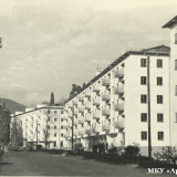 Хоста 1963-1965 гг.