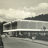 Хоста 1963-1965 гг.