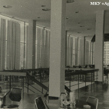 Хоста 1963-1965 гг.