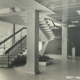 Хоста 1963-1965 гг.