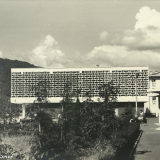 Хоста 1963-1965 гг.