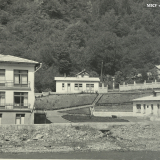 Хоста 1963-1965 гг.