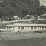 Хоста 1963-1965 гг.