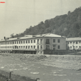 Хоста 1963-1965 гг.