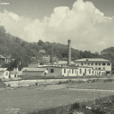 Хоста 1963-1965 гг.