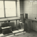 Хоста 1963-1965 гг.