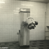 Хоста 1963-1965 гг.