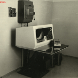 Хоста 1963-1965 гг.