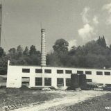 Хоста 1963-1965 гг.