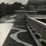Цирк - 23. Сад на кровле производственного корпуса цирка. 1971 г. МКУ «Архив г. Сочи». Фотоальбом А-90. Фото 6.
